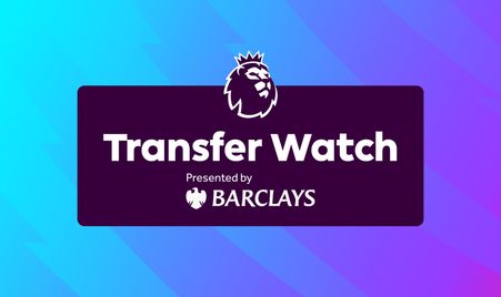 他职业生涯 他职业生涯